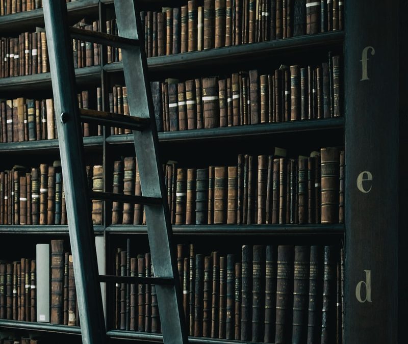 library shelf near black wooden ladder